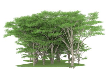 Realistic forest isolated on white background. 3d rendering - illustration