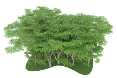 Realistic forest isolated on white background. 3d rendering - illustration