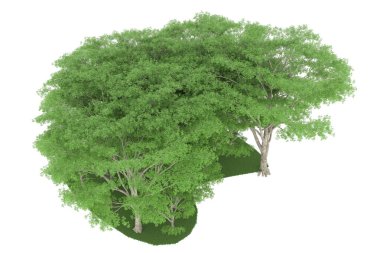 Realistic forest isolated on white background. 3d rendering - illustration