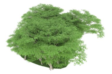 Realistic forest isolated on white background. 3d rendering - illustration
