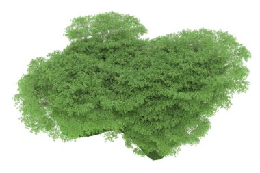 Realistic forest isolated on white background. 3d rendering - illustration