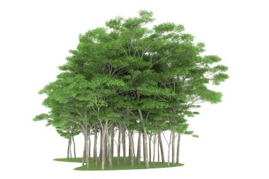 Realistic forest isolated on white background. 3d rendering - illustration