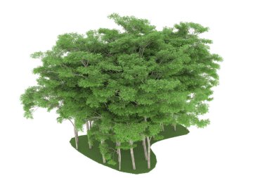 Realistic forest isolated on white background. 3d rendering - illustration