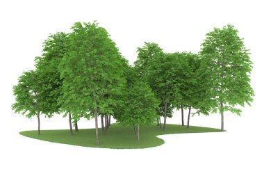 Realistic forest isolated on white background. 3d rendering - illustration