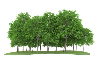 Realistic forest isolated on white background. 3d rendering - illustration