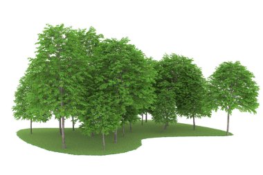 Realistic forest isolated on white background. 3d rendering - illustration