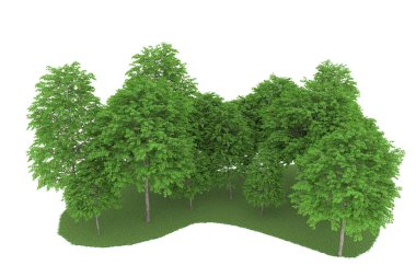 Realistic forest isolated on white background. 3d rendering - illustration