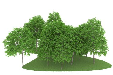 Realistic forest isolated on white background. 3d rendering - illustration