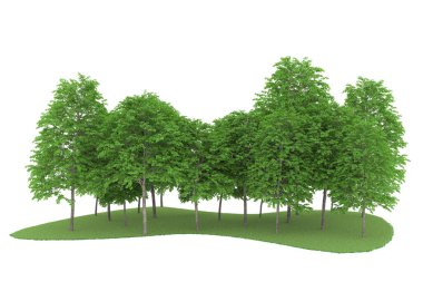 Realistic forest isolated on white background. 3d rendering - illustration
