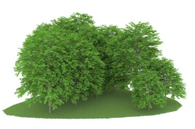 Realistic forest isolated on white background. 3d rendering - illustration