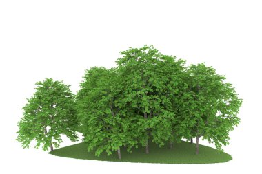 Realistic forest isolated on white background. 3d rendering - illustration