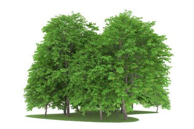 Realistic forest isolated on white background. 3d rendering - illustration