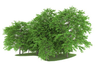 Realistic forest isolated on white background. 3d rendering - illustration