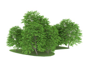 Realistic forest isolated on white background. 3d rendering - illustration