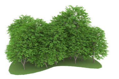 Realistic forest isolated on white background. 3d rendering - illustration