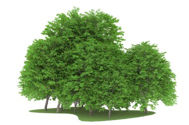 Realistic forest isolated on white background. 3d rendering - illustration