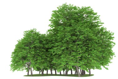 Realistic forest isolated on white background. 3d rendering - illustration