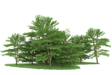 Realistic forest isolated on white background. 3d rendering - illustration