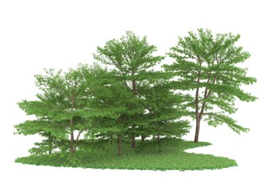 Realistic forest isolated on white background. 3d rendering - illustration