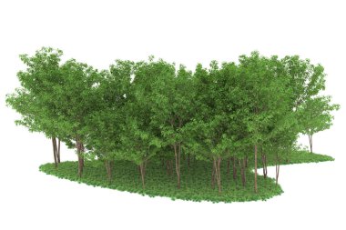 Realistic forest isolated on white background. 3d rendering - illustration