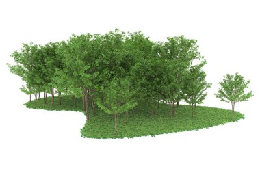 Realistic forest isolated on white background. 3d rendering - illustration
