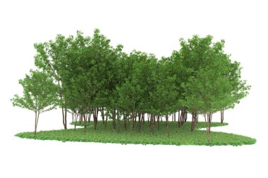 Realistic forest isolated on white background. 3d rendering - illustration