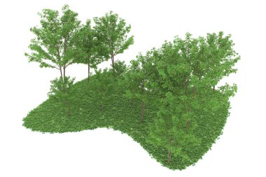 Realistic forest isolated on white background. 3d rendering - illustration