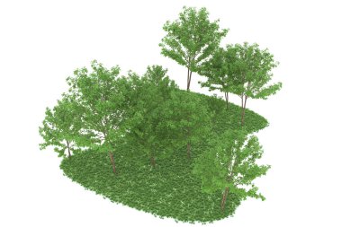 Realistic forest isolated on white background. 3d rendering - illustration