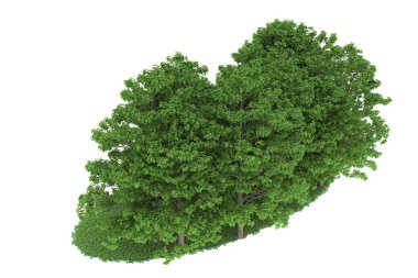 Realistic forest isolated on white background. 3d rendering - illustration