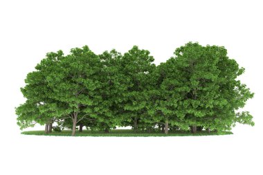 Realistic forest isolated on white background. 3d rendering - illustration