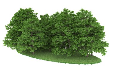 Realistic forest isolated on white background. 3d rendering - illustration