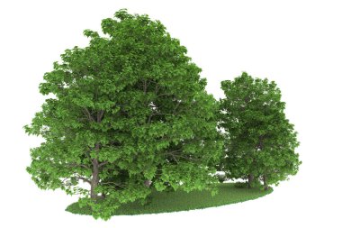 Realistic forest isolated on white background. 3d rendering - illustration