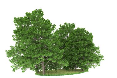 Realistic forest isolated on white background. 3d rendering - illustration