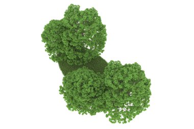 Realistic forest isolated on white background. 3d rendering - illustration