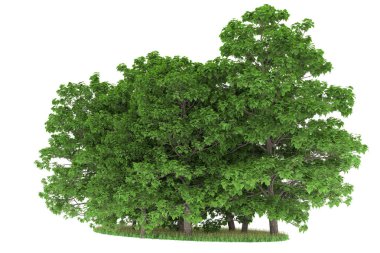 Realistic forest isolated on white background. 3d rendering - illustration