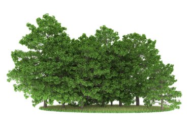 Realistic forest isolated on white background. 3d rendering - illustration