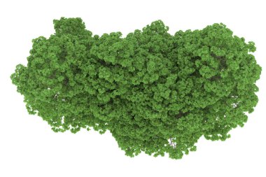 Realistic forest isolated on white background. 3d rendering - illustration