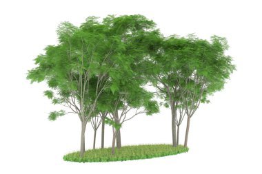 Realistic forest isolated on white background. 3d rendering - illustration