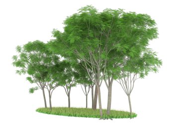 Realistic forest isolated on white background. 3d rendering - illustration