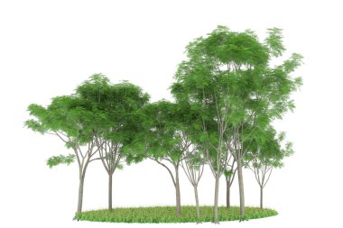 Realistic forest isolated on white background. 3d rendering - illustration