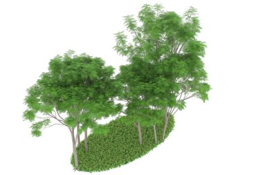 Realistic forest isolated on white background. 3d rendering - illustration