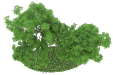 Realistic forest isolated on white background. 3d rendering - illustration