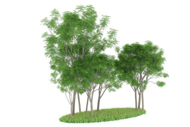 Realistic forest isolated on white background. 3d rendering - illustration