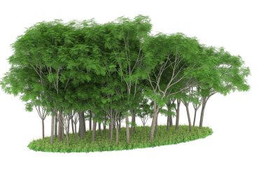 Realistic forest isolated on white background. 3d rendering - illustration