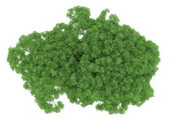 Realistic forest isolated on white background. 3d rendering - illustration