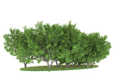 Realistic forest isolated on white background. 3d rendering - illustration