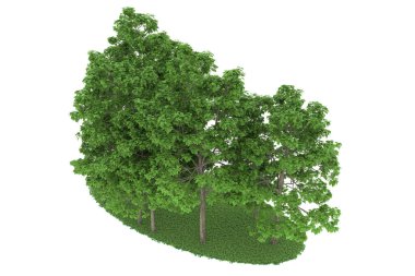 Realistic forest isolated on white background. 3d rendering - illustration