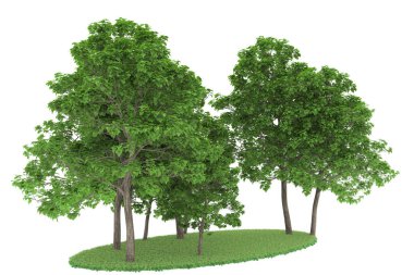 Realistic forest isolated on white background. 3d rendering - illustration
