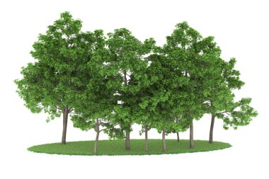 Realistic forest isolated on white background. 3d rendering - illustration