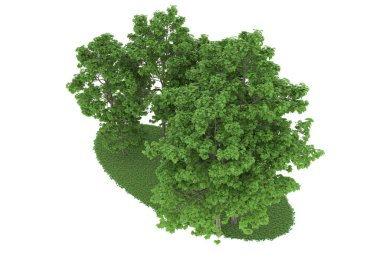 Realistic forest isolated on white background. 3d rendering - illustration